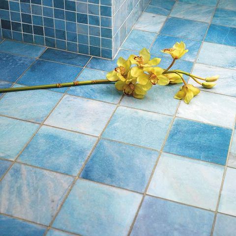 Petal, Leaf, Flooring, Flower, Tile, Floor, Tile flooring, Herbaceous plant, Flagstone, Square, 