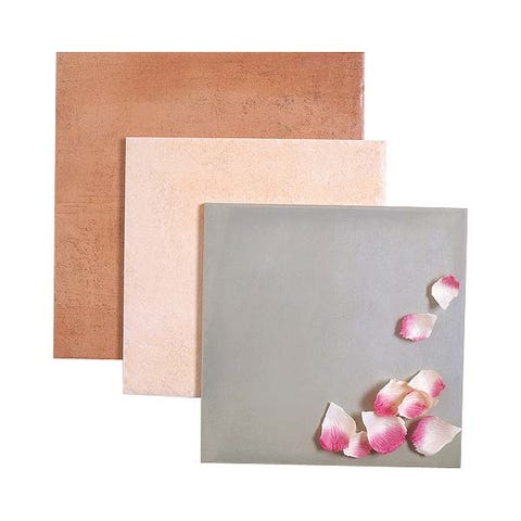 Petal, Rectangle, Beige, Tan, Flowering plant, Still life photography, Peach, Artificial flower, Still life, Sweetness, 
