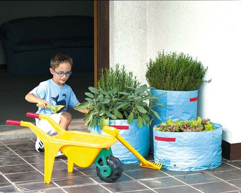 Glasses, Plant, Toy, Wheelbarrow, Cart, Shrub, Toy vehicle, Garden, Flowerpot, Model aircraft, 