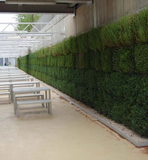 Shrub, Hedge, Daylighting, Steel, Shrub, Hedge, Daylighting, Steel,