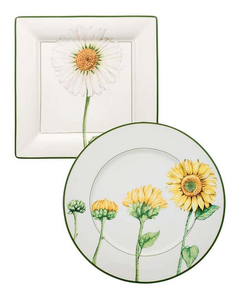 Yellow, Flower, Petal, Botany, Flowering plant, camomile, Plant stem, Pedicel, Illustration, Daisy family, 
