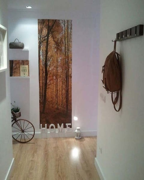 Bicycle wheel rim, Wood, Product, Room, Wall, Interior design, Floor, Bicycle wheel, Rim, Flooring, 