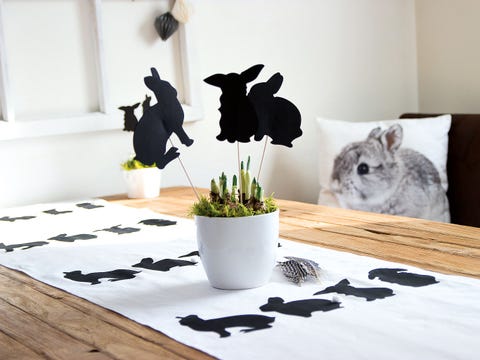 Flowerpot, Interior design, Shadow, Houseplant, Felidae, Still life photography, Plywood, Herb, Small to medium-sized cats, Cat, 