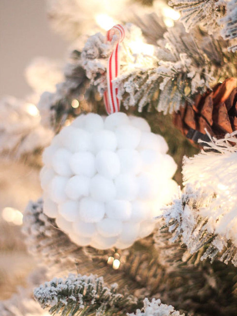 Winter, Smoke, Snow, Natural material, Pollution, Freezing, Conifer, Pine family, Fir, Pine, 