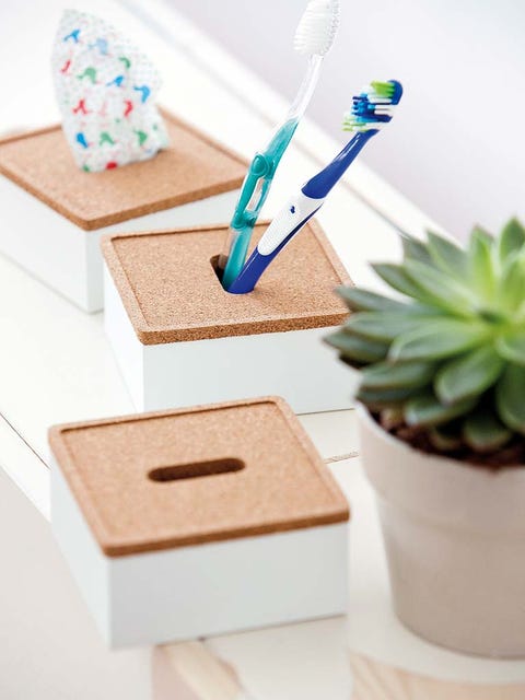 Flowerpot, Terrestrial plant, Houseplant, Brush, Interior design, Turquoise, Succulent plant, Household supply, Xanthorrhoeaceae, Party supply, 