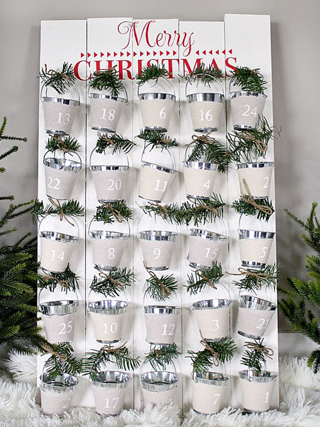 Font, Evergreen, Pine family, Conifer, Fir, Pine, 