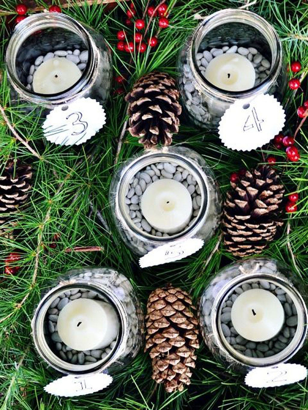 Circle, Natural material, Pine family, Produce, Conifer, Ananas, Still life photography, Home accessories, Bromeliaceae, Pine, 
