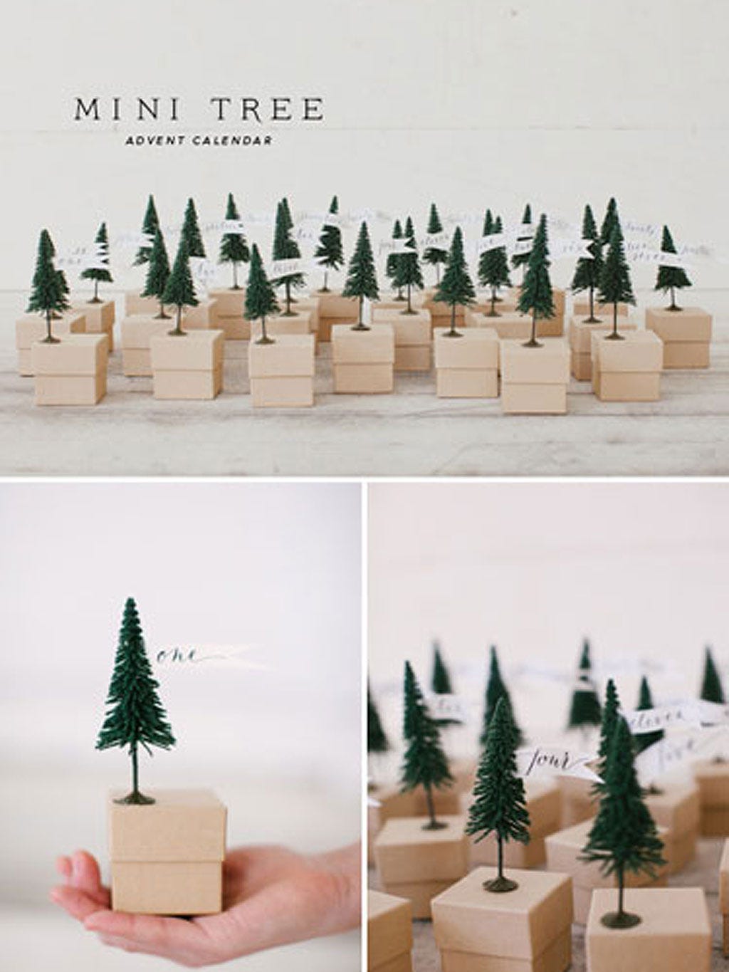 Branch, Leaf, Winter, Woody plant, Holiday, Evergreen, Christmas decoration, Christmas tree, Pine family, Conifer, 