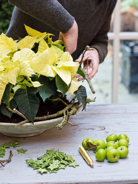 Flower, Floristry, Yellow, Plant, Bouquet, Floral design, Flower Arranging, Table, Food, Cut flowers, 