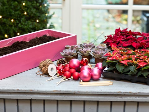 Leaf, Red, Produce, Natural foods, Petal, Ingredient, Local food, Whole food, Vegan nutrition, Vegetable, 