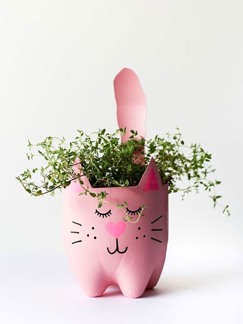 Flowerpot, Pink, Plant, Houseplant, Flower, Illustration, Still life photography, 