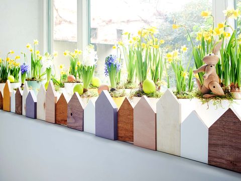 Yellow, Window, Lavender, Purple, Flowerpot, Flower Arranging, Flowering plant, Plant stem, Vase, Floral design, 