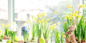 Lavender, Flowering plant, Flowerpot, Plant stem, Vase, Floral design, Home fencing, Paint, Perennial plant, Annual plant, 