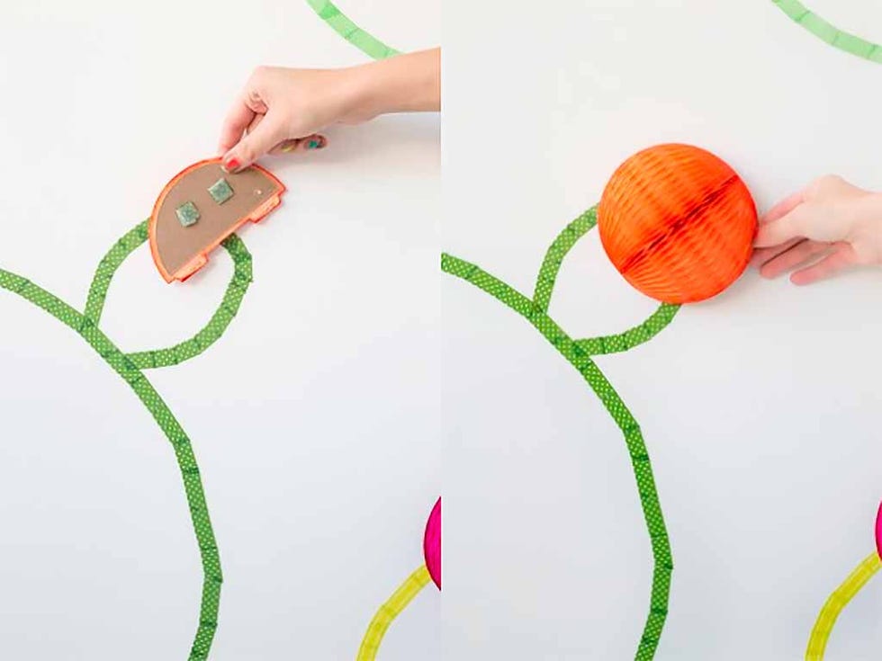 Leaf, Plant, Plant stem, Flower, 