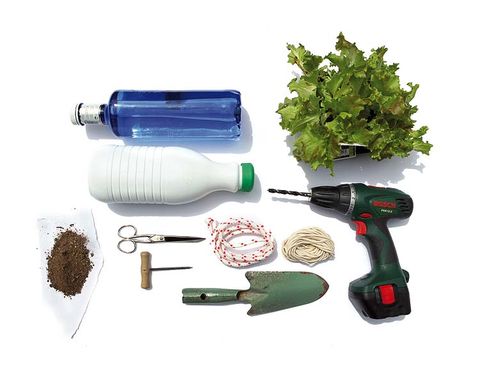 Herb, Cylinder, Plastic bottle, Plastic, Flask, Water bottle, Tool, 