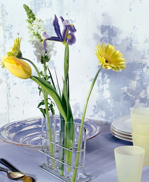 Petal, Yellow, Flower, Serveware, Flowering plant, Dishware, Botany, Drink, Cut flowers, Artifact, 