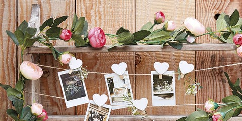 Branch, Flower, Plant, Wood, Twig, Floral design, Rose, Floristry, Petal, Branch, Flower, Plant, Wood, Twig, Floral design, Rose, Floristry, Petal,