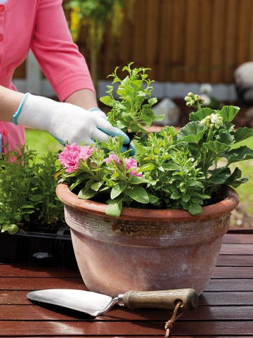 jardinería