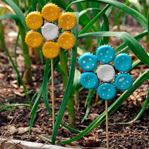 Blue, Botany, Terrestrial plant, Grass family, Spring, Plant stem, Circle, Fungus, 
