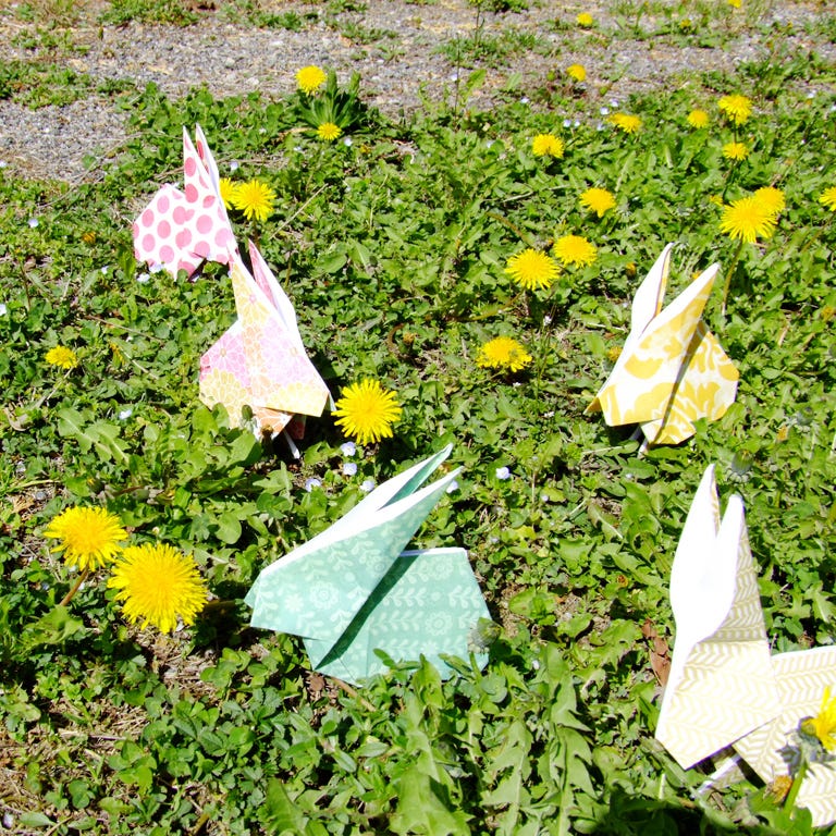 Leaf, Petal, Groundcover, Paper, Meadow, Wildflower, Herbaceous plant, Craft, Paper product, Daisy family, 
