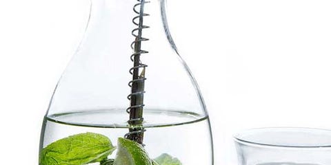 Liquid, Glass, Fluid, Drinkware, Lemon, Citrus, Drink, Transparent material, Cocktail, Tableware, Liquid, Glass, Fluid, Drinkware, Lemon, Citrus, Drink, Transparent material, Cocktail, Tableware,