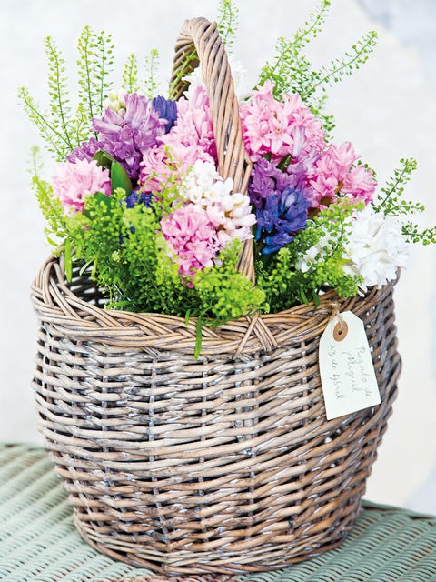 Flower, Basket, Storage basket, Purple, Flowering plant, Lavender, Wicker, Home accessories, Flower Arranging, Floral design, 