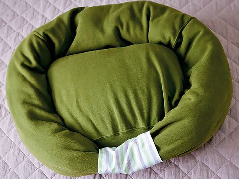 Green, Comfort, Purple, Dog bed, 