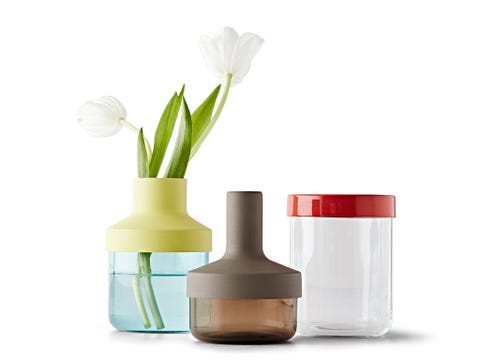 Liquid, Brown, Petal, White, Flower, Peach, Flowering plant, Cut flowers, Tints and shades, Beige, 