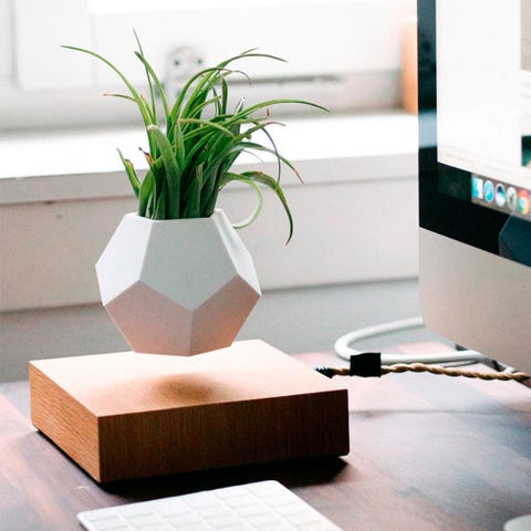 Flowerpot, Table, Houseplant, Interior design, Coffee table, Room, Furniture, Living room, Vase, Material property, Flowerpot, Table, Houseplant, Interior design, Coffee table, Room, Furniture, Living room, Vase, Material property,