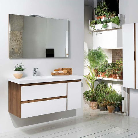 Plant, Property, Interior design, Wall, Flowerpot, Room, Interior design, Houseplant, Rectangle, Mirror, 
