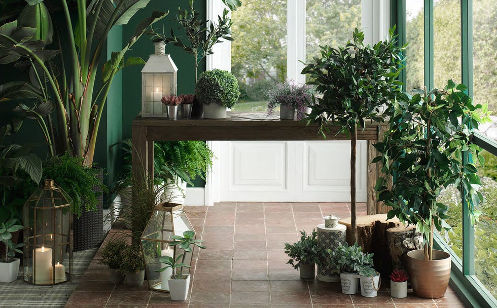 Houseplant, Property, Building, Room, Furniture, Flowerpot, Floor, Courtyard, Plant, Interior design, 