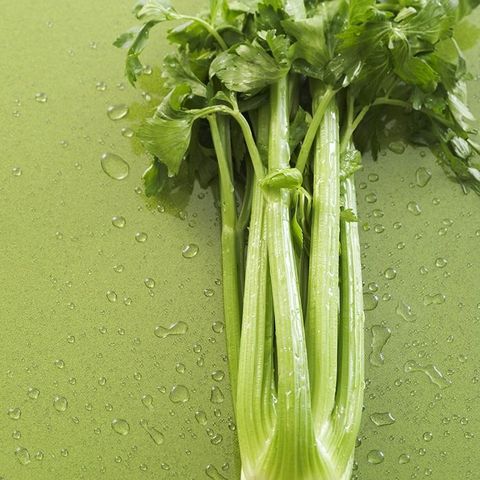Celery, Leaf vegetable, Vegetable, Plant, Fennel, Food, Flower, Chinese celery, Plant stem, Mustard greens, 