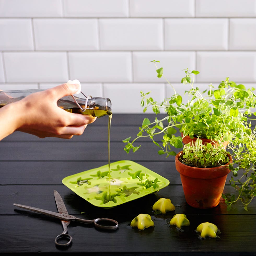 conservar hierbas aromáticas con aceite de oliva en cubitos