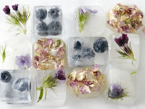 Purple, Lavender, Violet, Flowering plant, Artificial flower, Natural material, Still life photography, Cut flowers, 