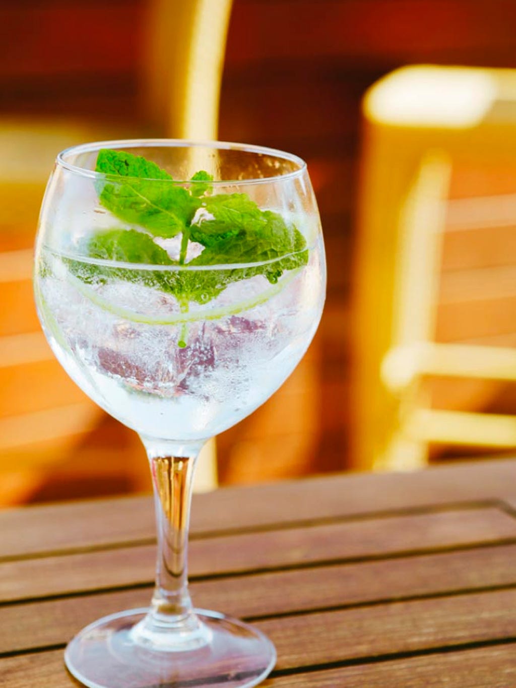 gin tonic