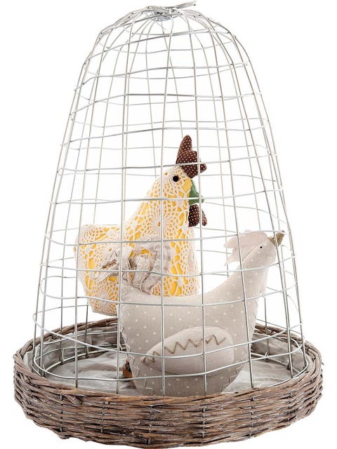 Cage, Pet supply, Bird supply, Basket, Wicker, Bird, Beak, 