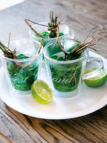 infusiones tazas c'est chaud con doble cristal