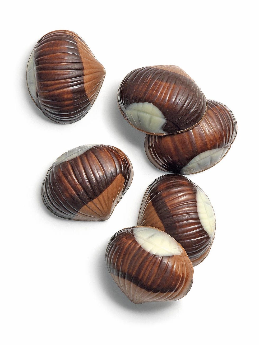 Shell, Food, Invertebrate, Sea snail, Bivalve, Clam, Molluscs, 