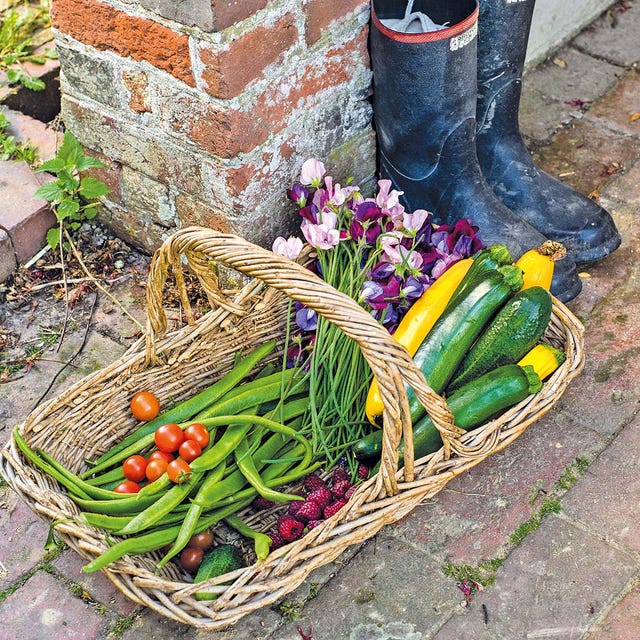 Whole food, Vegan nutrition, Natural foods, Vegetable, Produce, Ingredient, Local food, Food, Food group, Boot, 