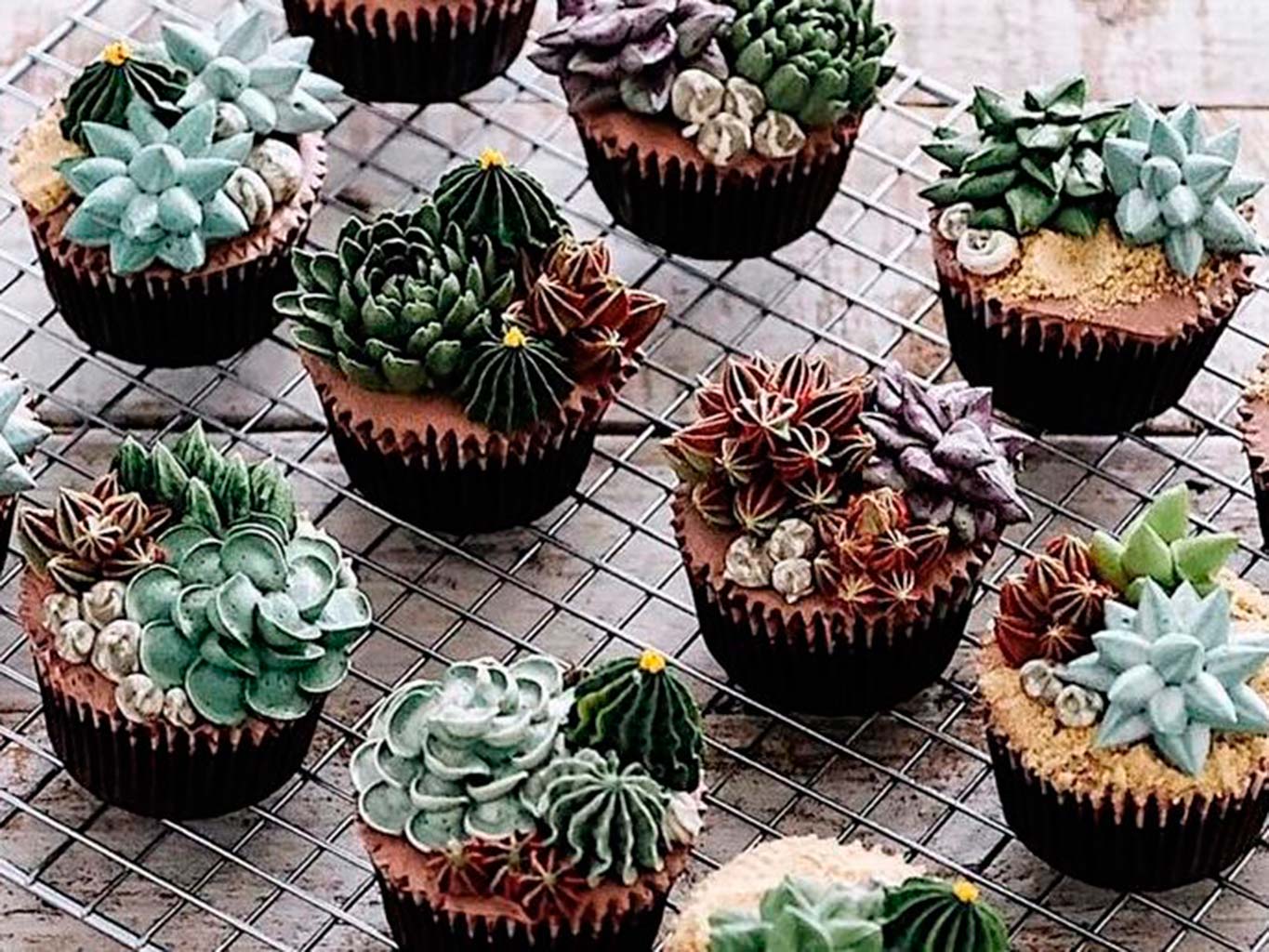 Cupcake, Cactus, Muffin, Flower, Plant, Dessert, Icing, Baked goods, Houseplant, Food, 
