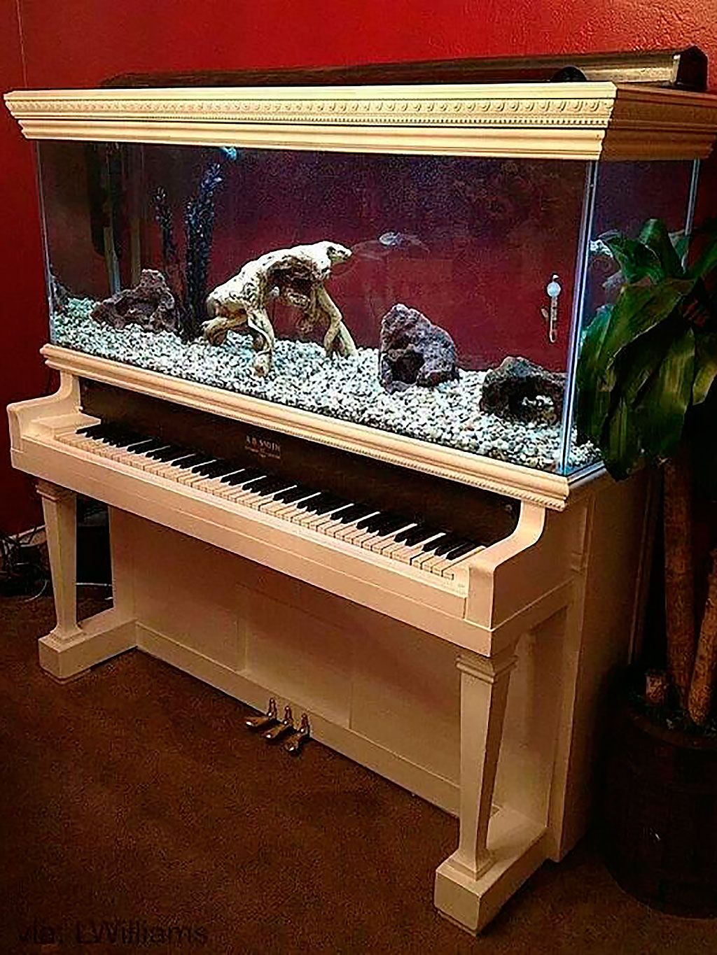 Musical instrument, Keyboard, Musical instrument accessory, Piano, Musical keyboard, Technology, Houseplant, Flowerpot, Folk instrument, Varnish, 