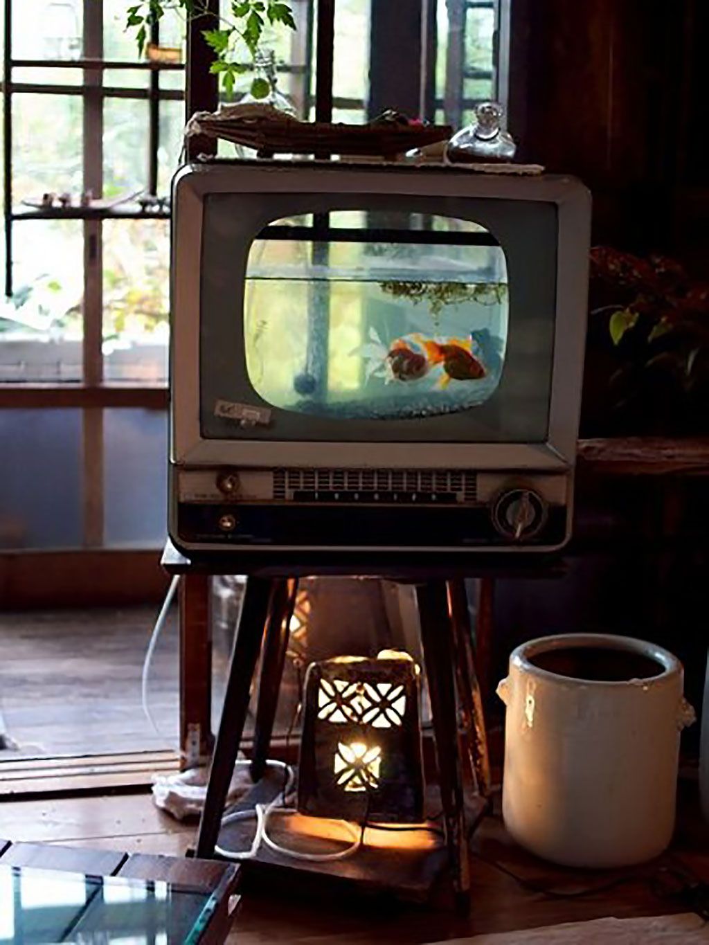 Display device, Television accessory, Machine, Games, Gas, Cup, Heat, Recipe, Still life photography, Meat, 