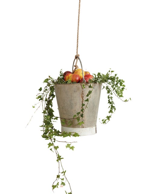 Flowerpot, Plant, Leaf, Twig, Houseplant, Flower, Branch, Holly, Floral design, Interior design, 