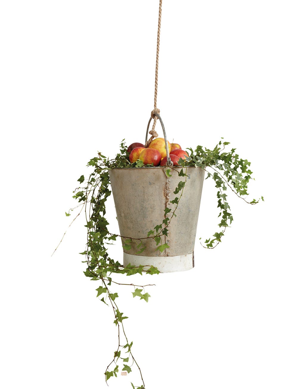 Flowerpot, Plant, Leaf, Twig, Houseplant, Flower, Branch, Holly, Floral design, Interior design, 
