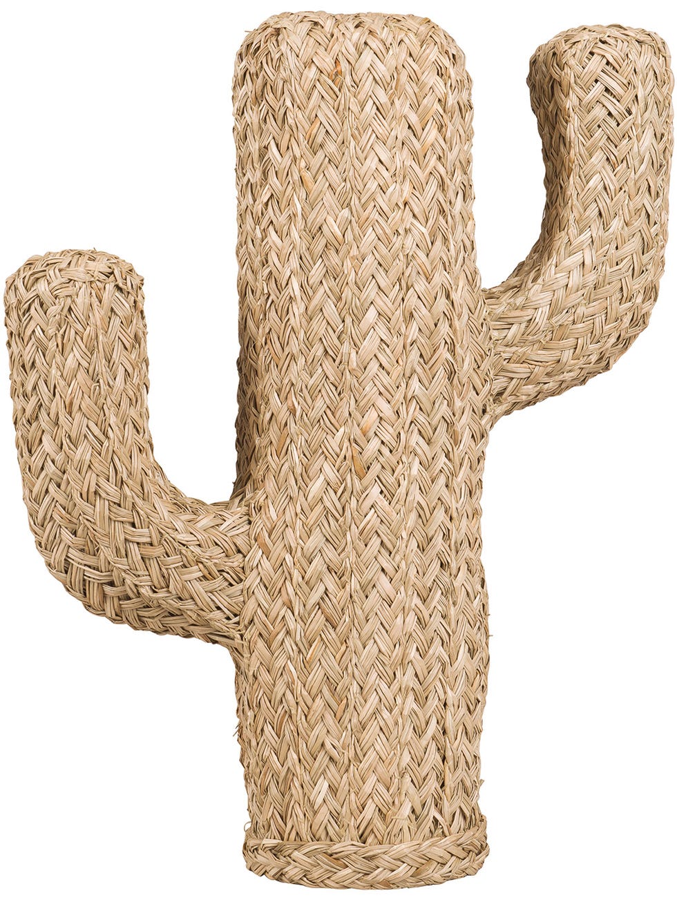 Cactus, Beige, Plant, Tree, Font, Saguaro, 