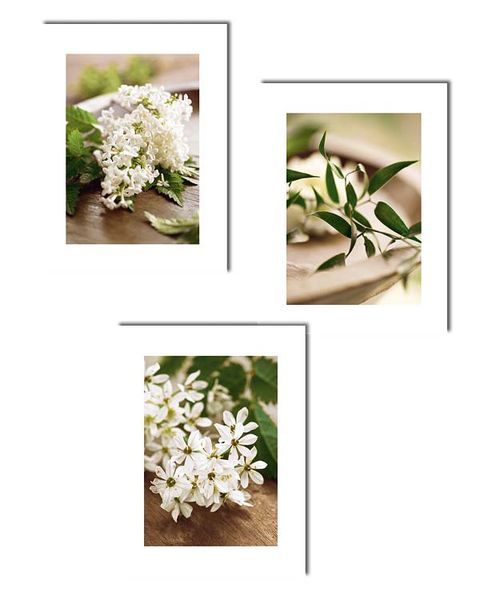 Petal, Flower, White, Botany, Cut flowers, Flowering plant, Bouquet, Shrub, Floral design, Artificial flower, 