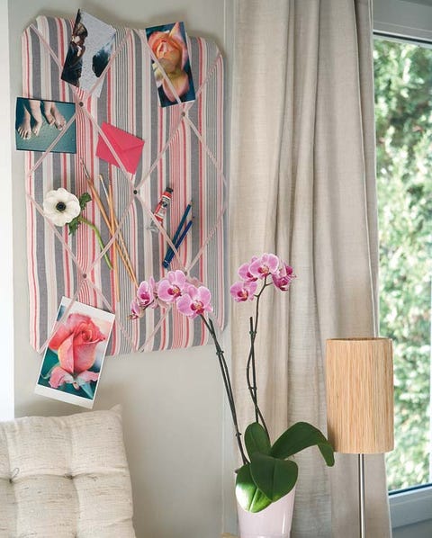 Petal, Interior design, Flower, Textile, Pink, Room, Interior design, Botany, Plant stem, Window treatment, 