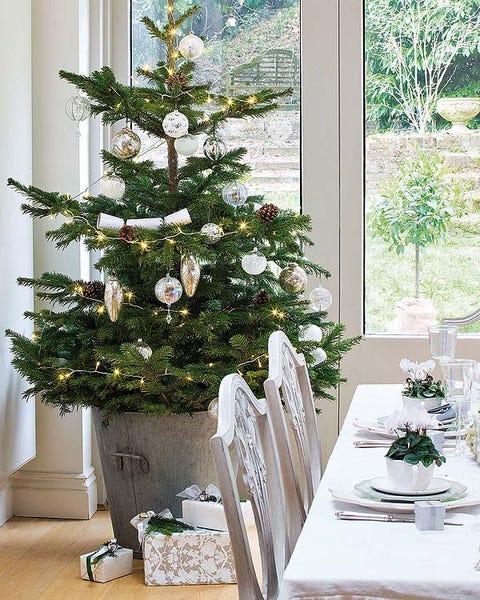 Árbol de navidad natural en el comedor