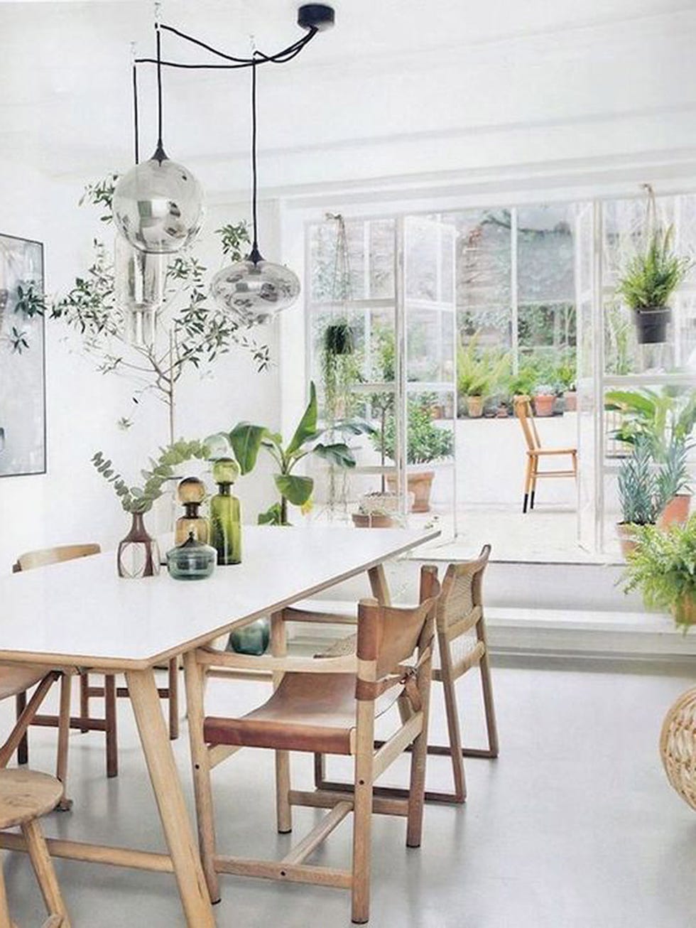 Plant, Wood, Room, Interior design, Table, Furniture, Floor, Light fixture, Interior design, Chair, 