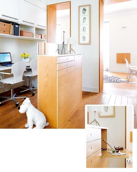 Room, Interior design, Wood, Floor, Carnivore, White, Dog, Wall, Flooring, Cabinetry, 